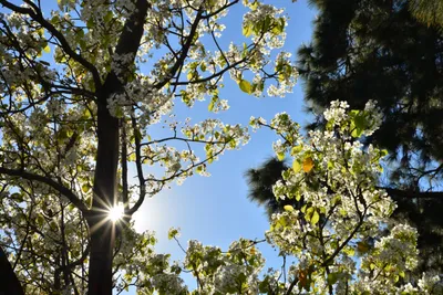 DSC_7207 (Large).JPG